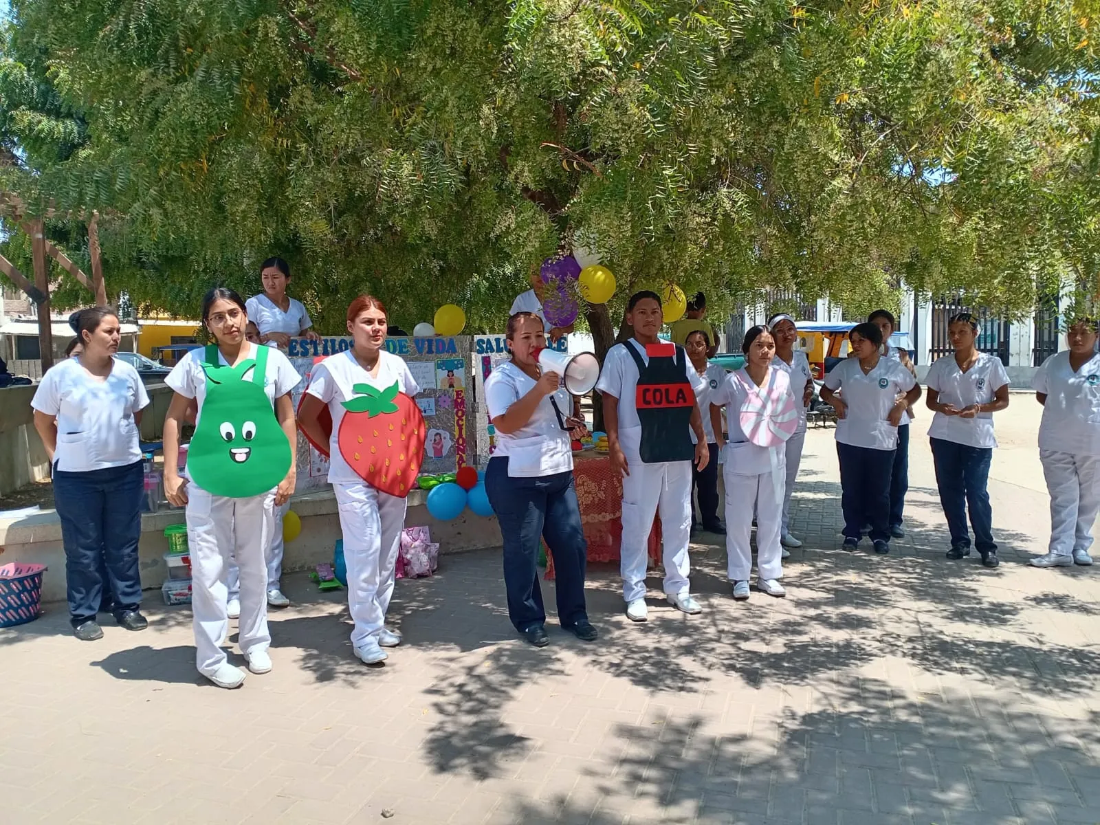 Santa-Ursula-Actividades