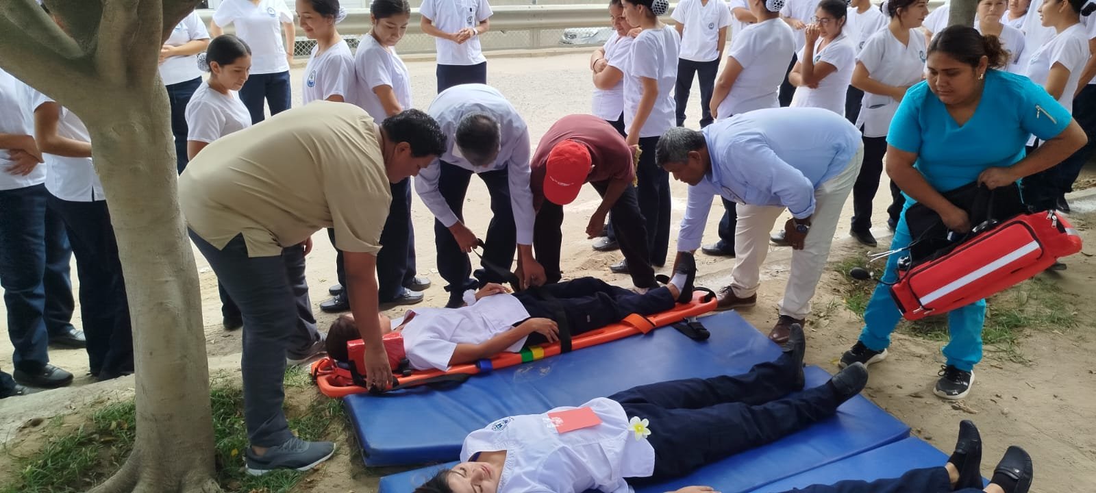 Descripción de la imagen